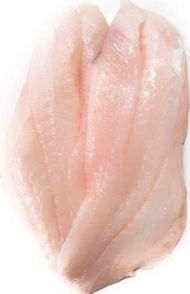 Ocean Perch