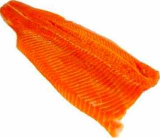 Rainbow Trout